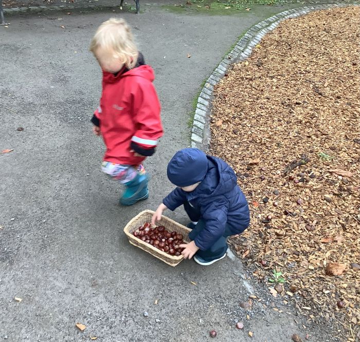 Kinder sammeln draußen etwas ein