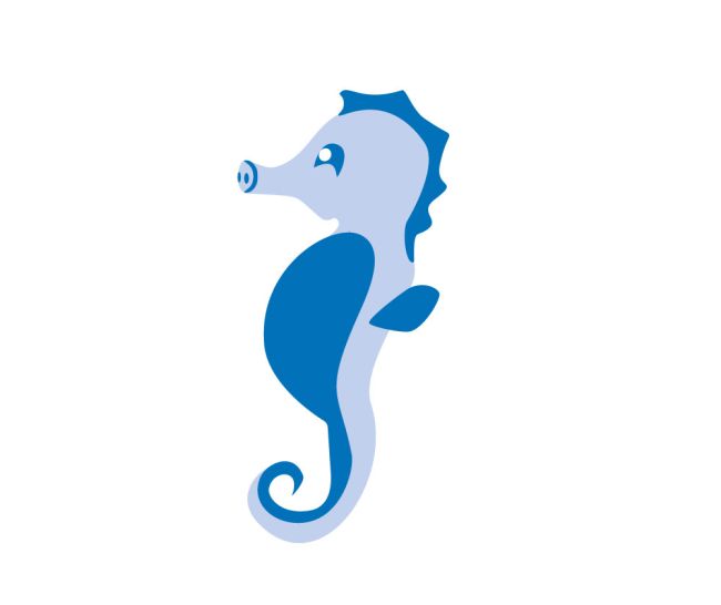 Seepferdchen Illustration