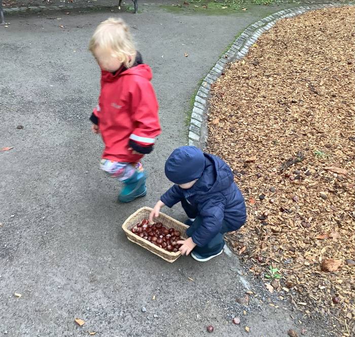 Kinder sammeln draußen etwas ein