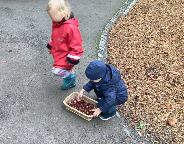 Kinder sammeln draußen etwas ein